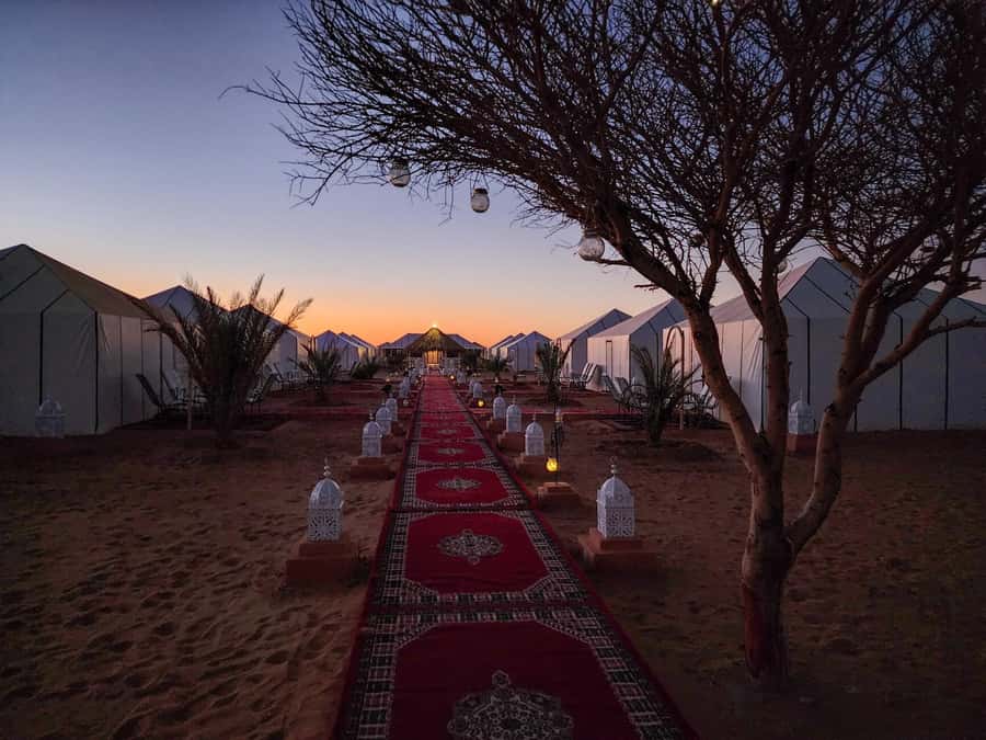 Majestic Desert: 3-Day Luxury Journey from Marrakech to Fes - Who should book this Moroccan desert journey
