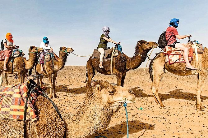 Marrakech: 1 Day Tour-Best of the Atlas Mountains &Three Valleys - A short taste of the Agafay Desert