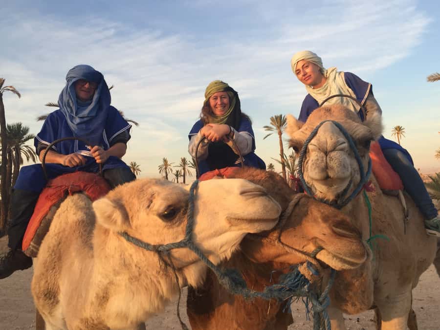 Marrakech : 1-Hour Camel Ride Through the Palm Grove - The 30-minute break and mint tea