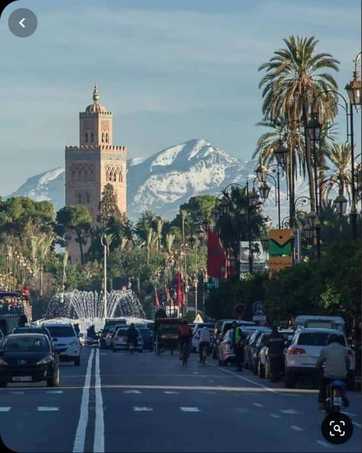 Marrakech: 1-Hour Traditional Horse-Drawn Carriage Tour - A gentle way to meet Marrakech