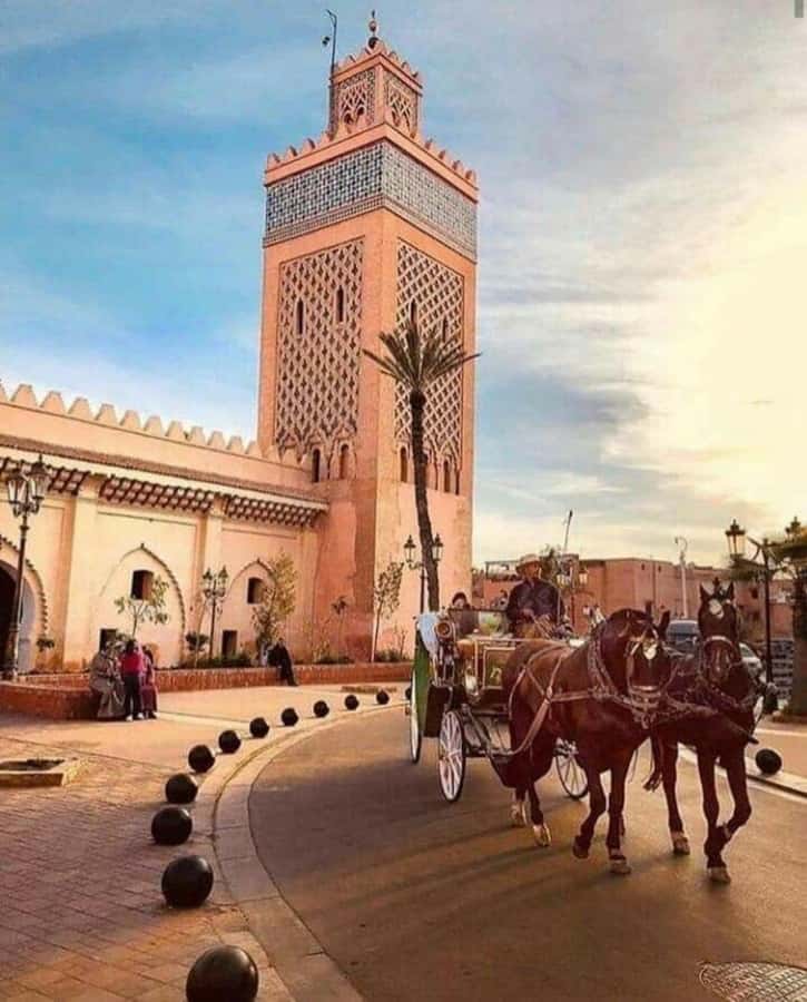 Marrakech: 1-Hour Traditional Horse-Drawn Carriage Tour - Starting with pickup in Marrakesh