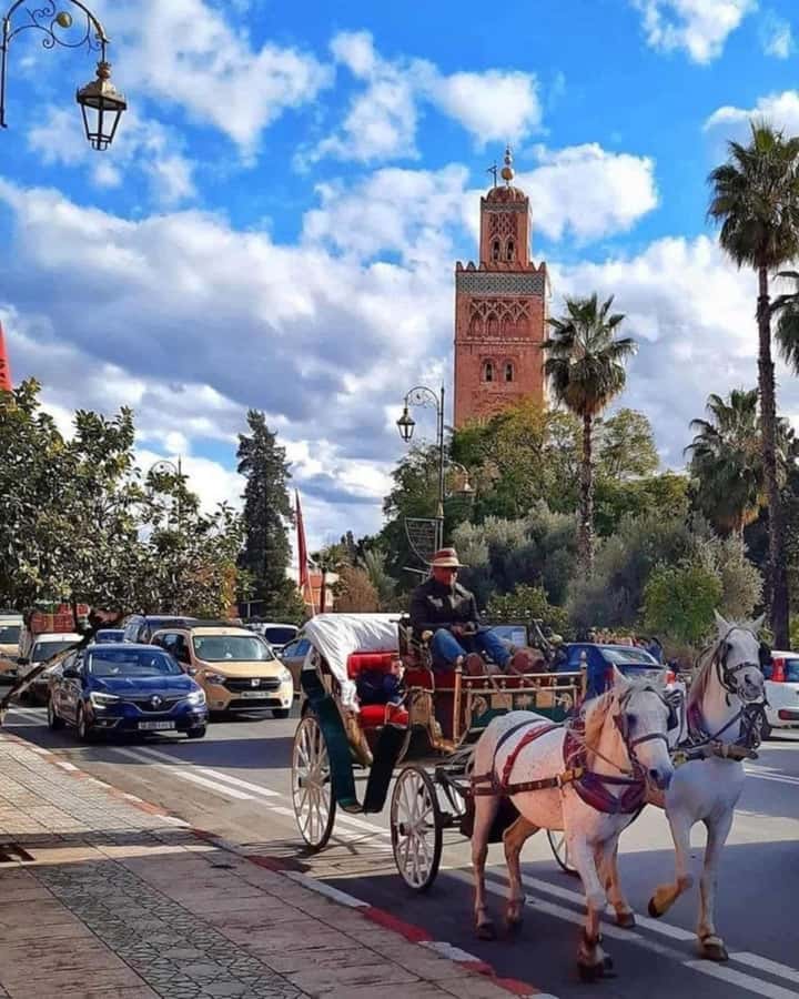 Marrakech: 1-Hour Traditional Horse-Drawn Carriage Tour - Medina walls, gates, and the Red City feel