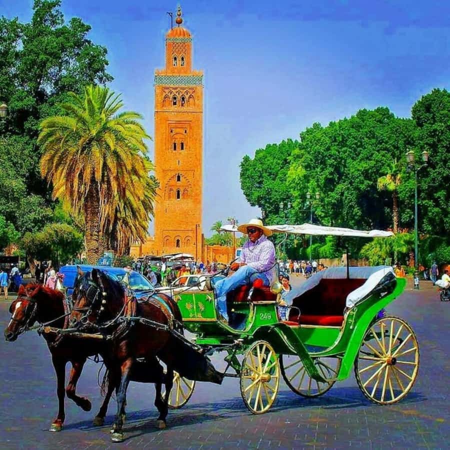 Marrakech: 1-Hour Traditional Horse-Drawn Carriage Tour - The horse welfare question