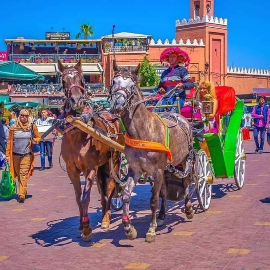 Marrakech: 1-Hour Traditional Horse-Drawn Carriage Tour - Timing, comfort, and the one-hour limit