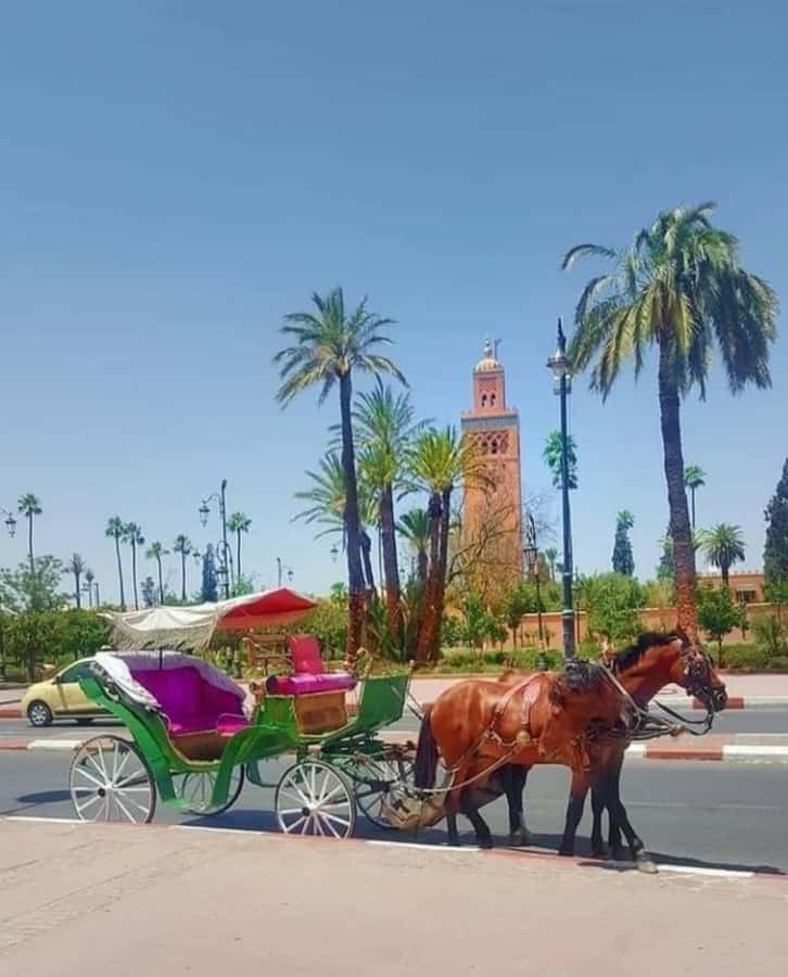 Marrakech: 1-Hour Traditional Horse-Drawn Carriage Tour - Is $40 good value?