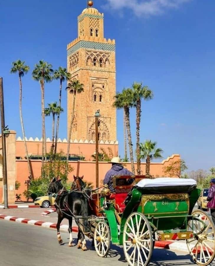 Marrakech: 1-Hour Traditional Horse-Drawn Carriage Tour - Passing Jemaa el-Fnaa and Koutoubia Mosque