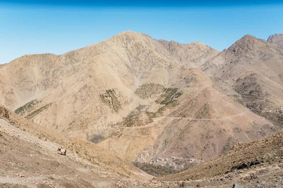 Marrakech: 2-Day Atlas Mountains Trek with Village Stay - Is $96 good value?