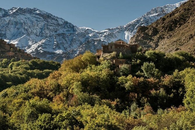 Marrakech: 2-Day Atlas Mountains Trek with Village Stay - Down through the juniper forest to Tizi Oussem