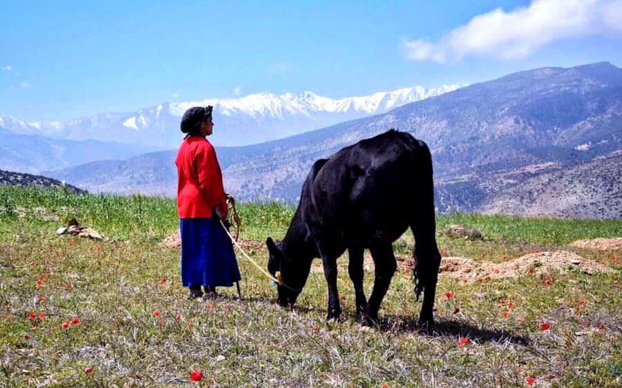 Marrakech: 2-Day Atlas Villages Trekking Tour - From Marrakech to the foothills by air-conditioned vehicle