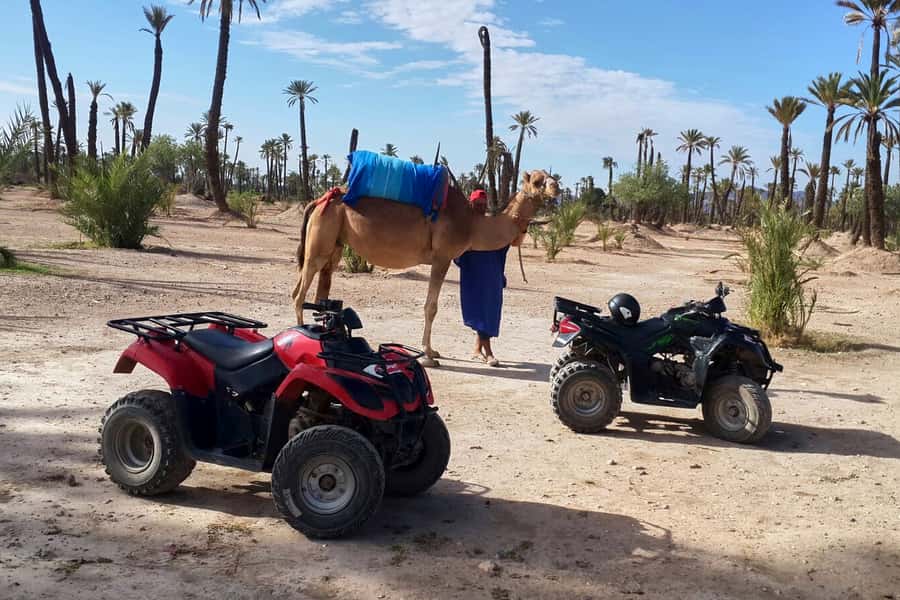 Marrakech: 2-Hour Quad Bike & Camel Ride in Palmeraie - One hour on a quad bike