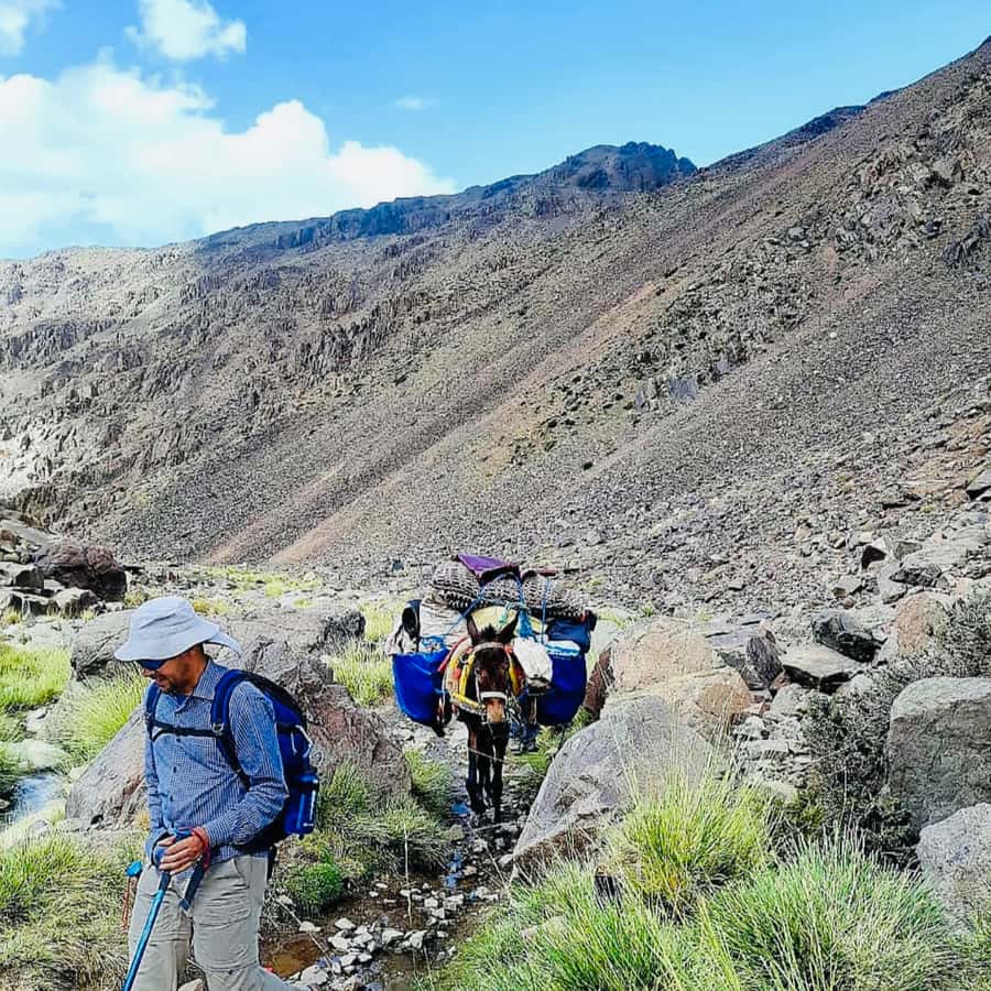 Marrakech: 3-Day Atlas Mountains Berber Villages Trek - Day three: Azib Tamsoulte waterfall and Mzik Pass