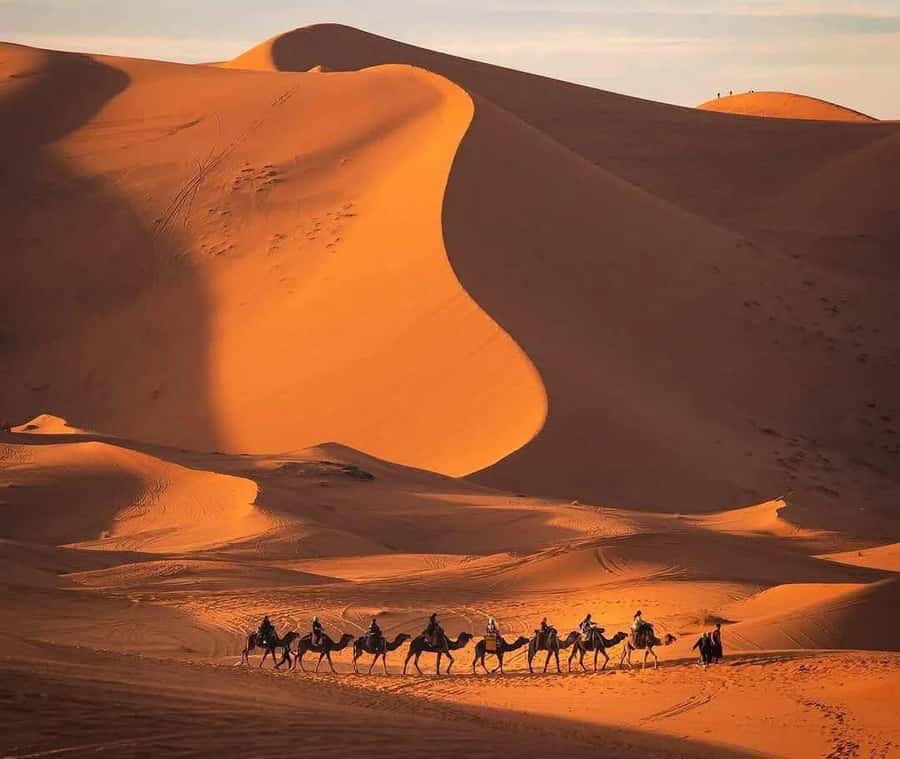 Marrakech: 3-day Exclusive Desert Luxury Tour; Quad & Camels - My verdict: book it if the Sahara is your priority