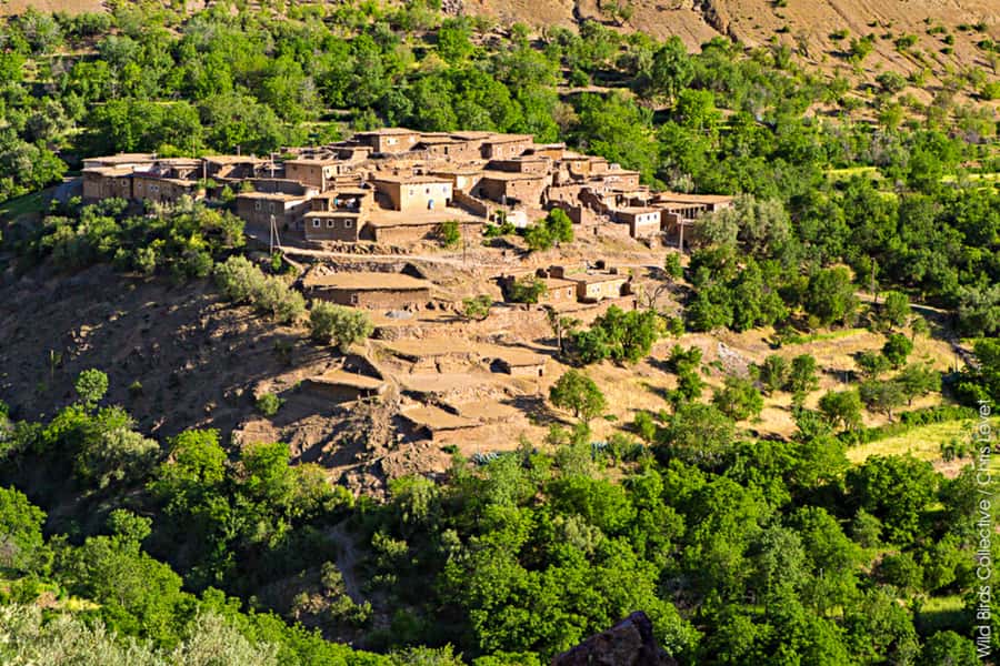 Marrakech: 3-Day High Atlas Mountains and Three Valleys Trek - Why three days works better than a quick Atlas outing
