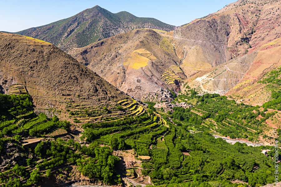 Marrakech: 3-Day High Atlas Mountains and Three Valleys Trek - Who should book this trek