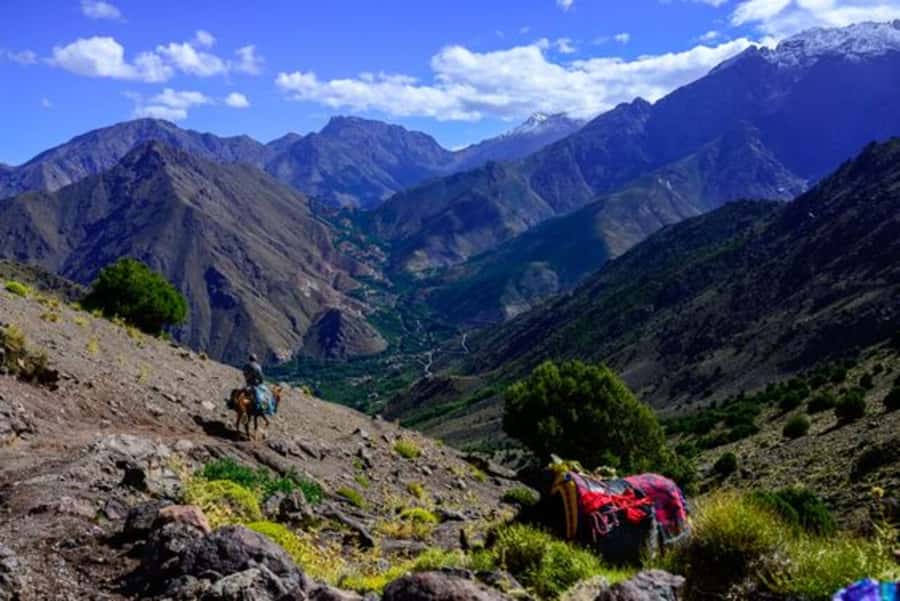 Marrakech: 3-Day High Atlas Mountains and Three Valleys Trek - Should you book the High Atlas three-day trek?