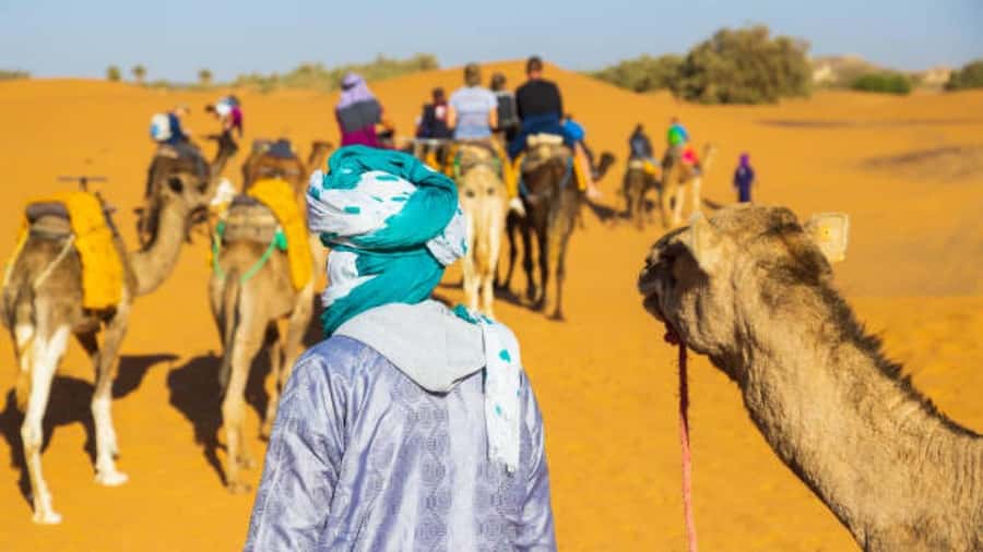 Marrakech: 3-Day Luxurious Desert Tour to Fes via Merzouga. - What the $102 price really gives you