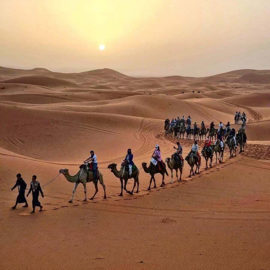 Marrakech: 3-Day Luxurious Desert Tour to Fes via Merzouga. - Day one: High Atlas views, Ait Benhaddou, and the Dades Valley