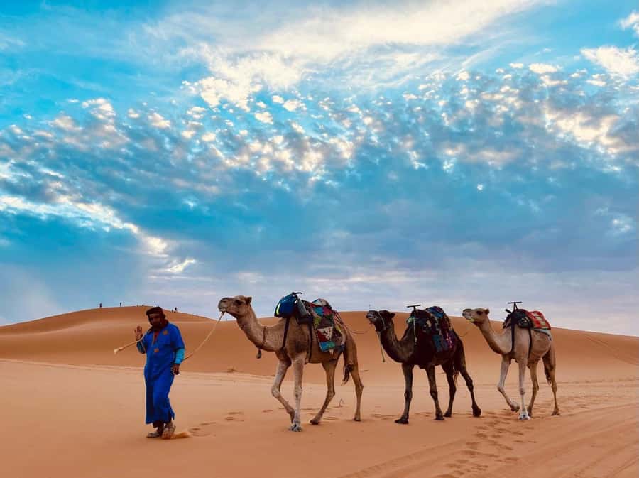 Marrakech: 3-Day Merzouga Desert Tour Camel & Sandboarding - Sleeping in a Berber desert camp