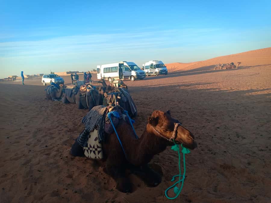 Marrakech: 3-Day Merzouga Sahara Desert Tour with Quad Ride - Transport, guides, and group rhythm