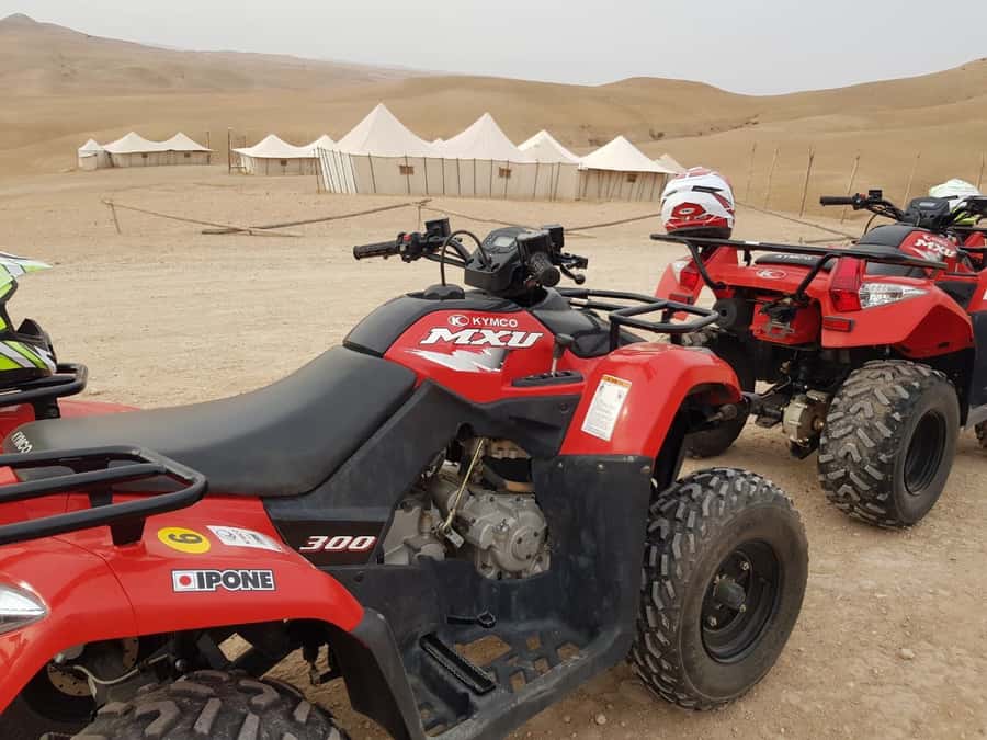 Marrakech: 3-Hour Quad Bike Adventure - What the $82 price gets you
