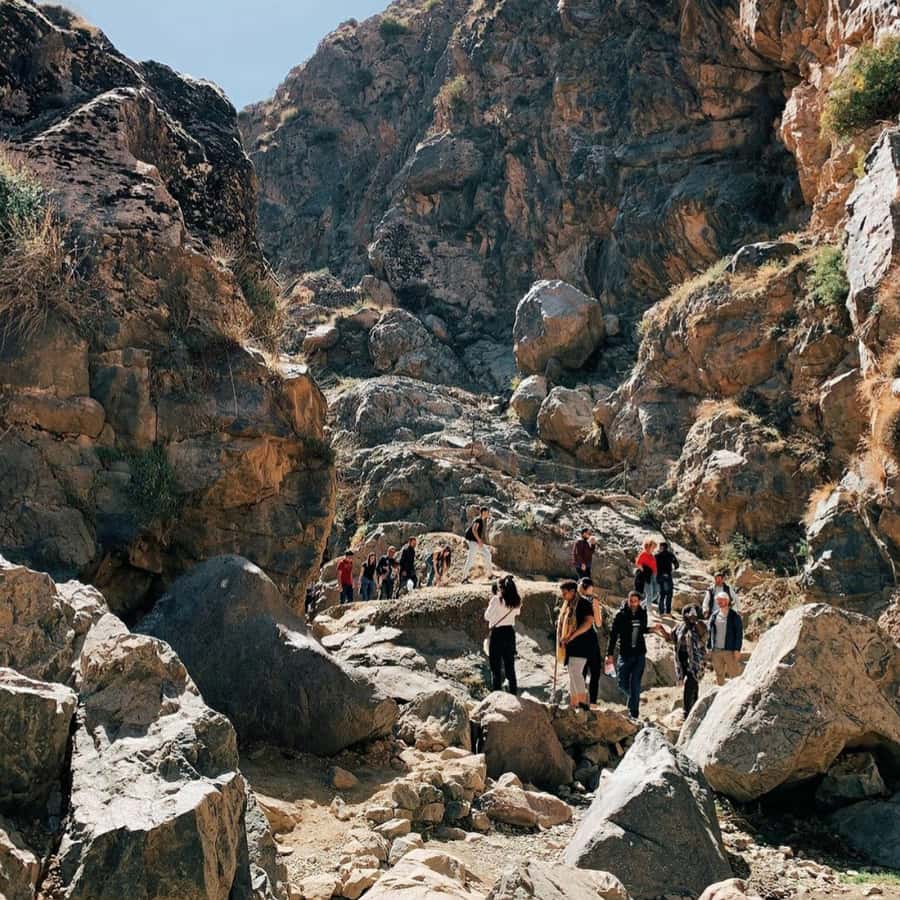 Marrakech 3 Valleys Private Tour, Waterfalls and Mountains - The quiet Sidi Fares Forest