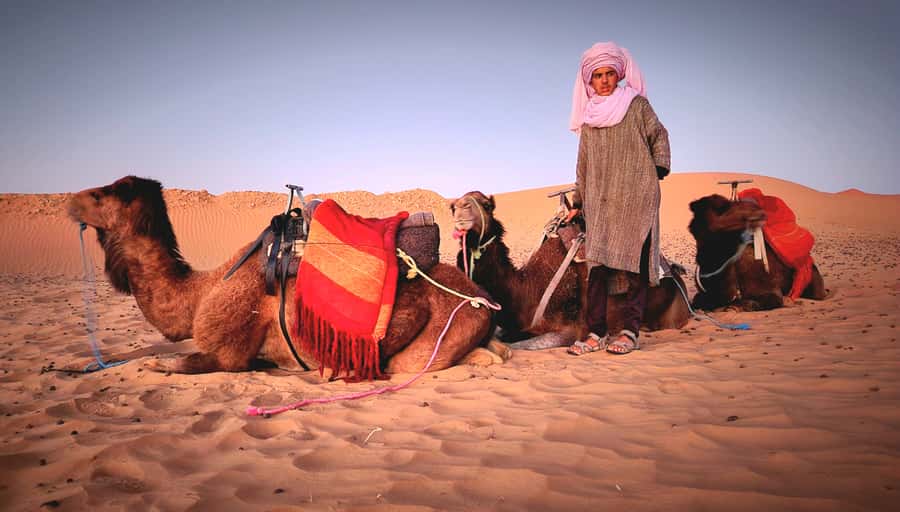 Marrakech: 3Day Luxurious Merzouga Tour w/ Camel&Quad Option - What the $116 price includes