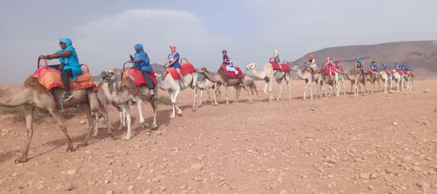 Marrakech Adventure: Agafay Desert Quad, Camel, Lunch - What the $30 price really gives you