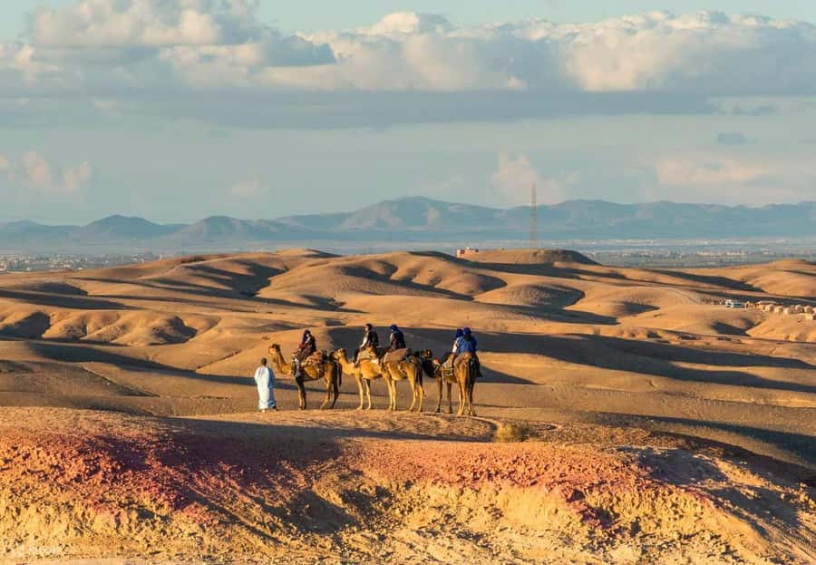 Marrakech Adventure: Agafay Desert Quad, Camel, Lunch - Pickup, guides, and keeping the day organized