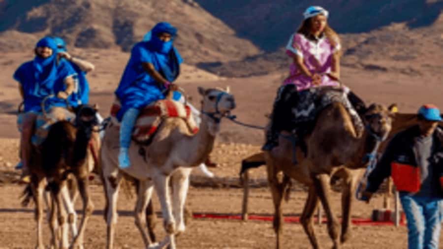 Marrakech Adventure: Paragliding, Camel Ride & Breakfast - Why this Marrakech outing is worth considering