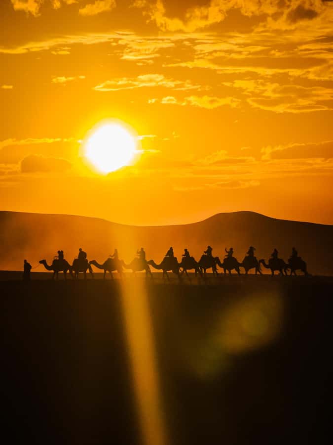 Marrakech: Agafay Camel Ride & Dinner with Fire Show Tour - A short camel ride across rocky Agafay