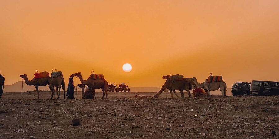 Marrakech: Agafay Camel Ride & Dinner with Fire Show Tour - The fire show under the stars