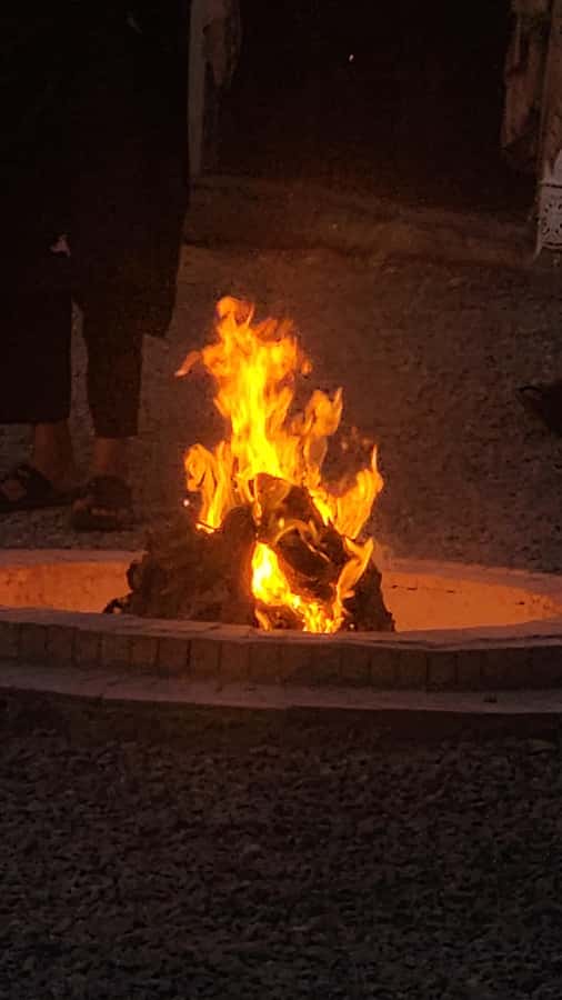 Marrakech: Agafay Camel Ride & Dinner with Fire Show Tour - What $28 buys you