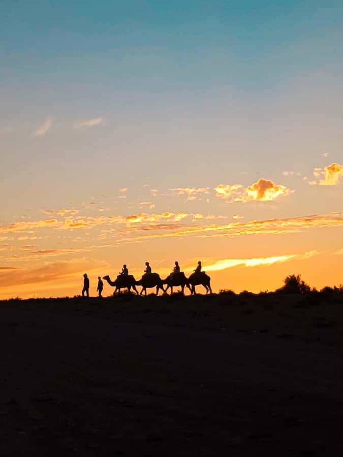 Marrakech: Agafay Camel Ride & Dinner with Fire Show Tour - The argan oil cooperative stop