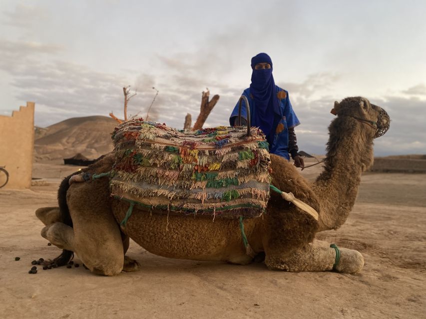 Marrakech: Agafay Desert Buggy Tour with Transfer - What the guide service may be like