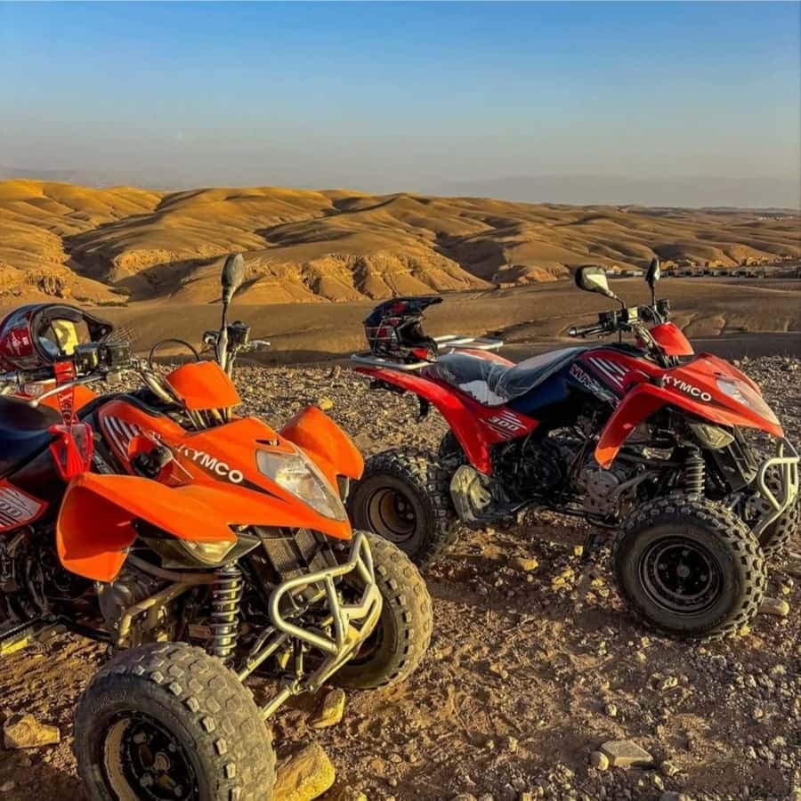 Marrakech: Agafay Desert Camel, Quad Bike & Dinner Show - Should you book this Agafay evening?