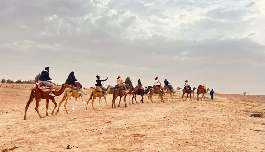 Marrakech: Agafay Desert Camel Ride, Dinner, Fire Show - Dinner under the stars keeps the evening grounded