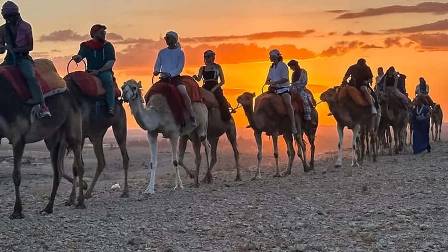 Marrakech: Agafay Desert: Camel ride Quad Bike, Dinner show - Transport, guides, and the pace of the evening