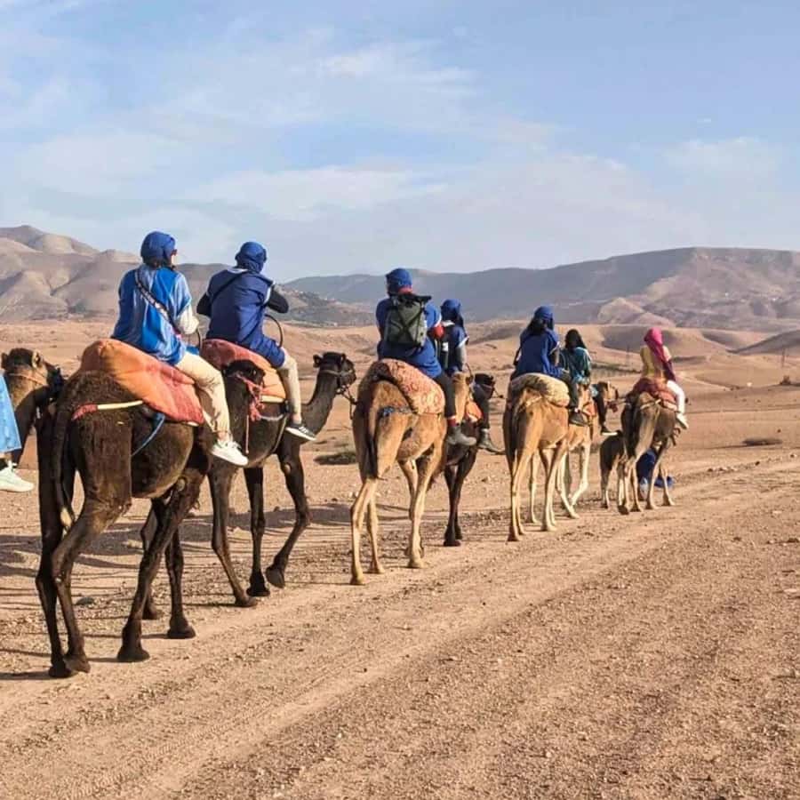Marrakech: Agafay Desert Camel Ride & Quad with Dinner Show - Dinner under the Amazigh tent