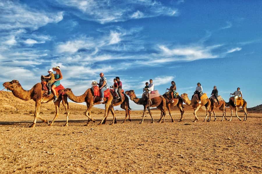 Marrakech Agafay desert: Camel Ride, Sunset, Dinner show - Thirty minutes on a camel at sunset