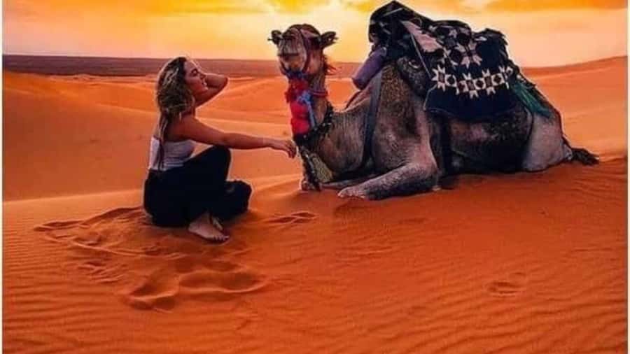 Marrakech Agafay desert: Camel Ride, Sunset, Dinner show - How good is the value at $10?