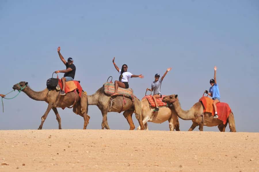 Marrakech Agafay desert: Camel Ride, Sunset, Dinner show - Pickup from Marrakech and the ride out