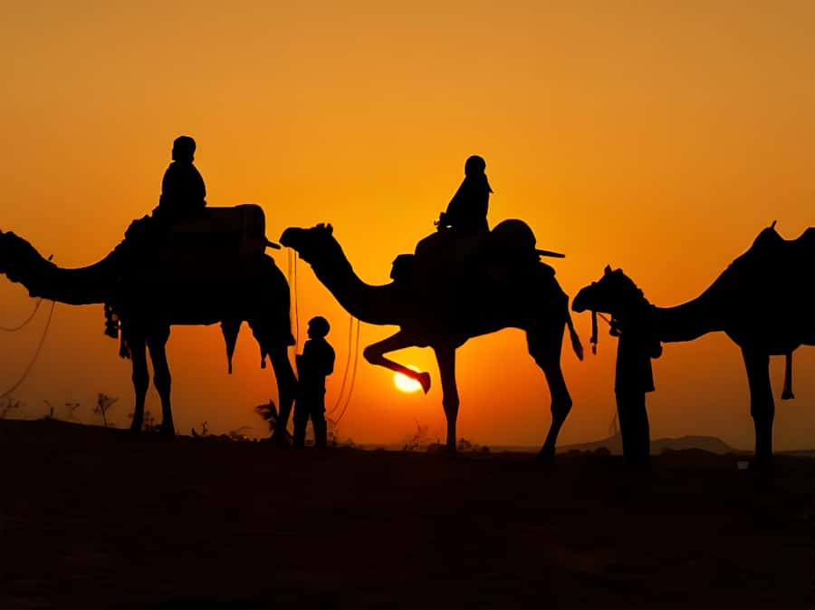 Marrakech: Agafay Desert Camel Ride with Dinner & Show - A 20-minute camel ride at sunset