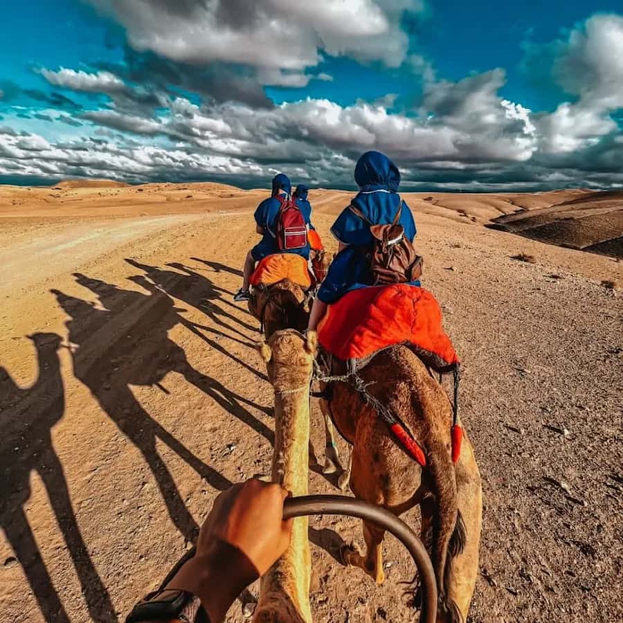 Marrakech: Agafay desert camel ride with dinner & spectacle - Pickup from Marrakech takes planning
