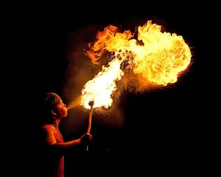 Marrakech: Agafay Desert Camel Rides, Dinner and Fire Show - Who should book this Agafay experience?