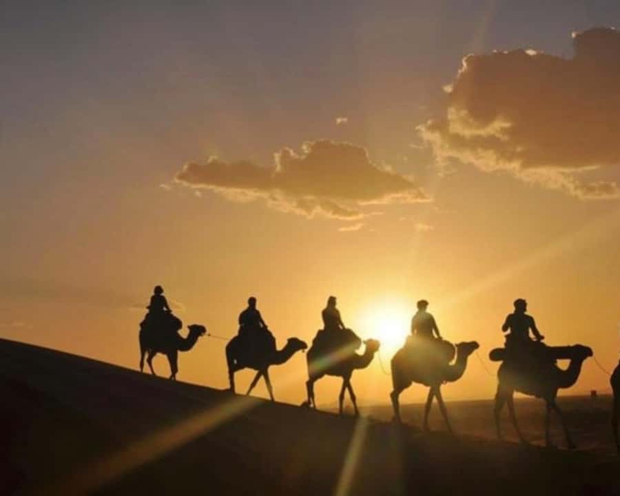 Marrakech: Agafay Desert Camel Rides, Dinner and Fire Show - Quad biking across the rocky desert