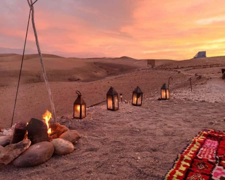 Marrakech: Agafay Desert Camel Rides, Dinner and Fire Show - Guides, drivers, and the human side of the outing