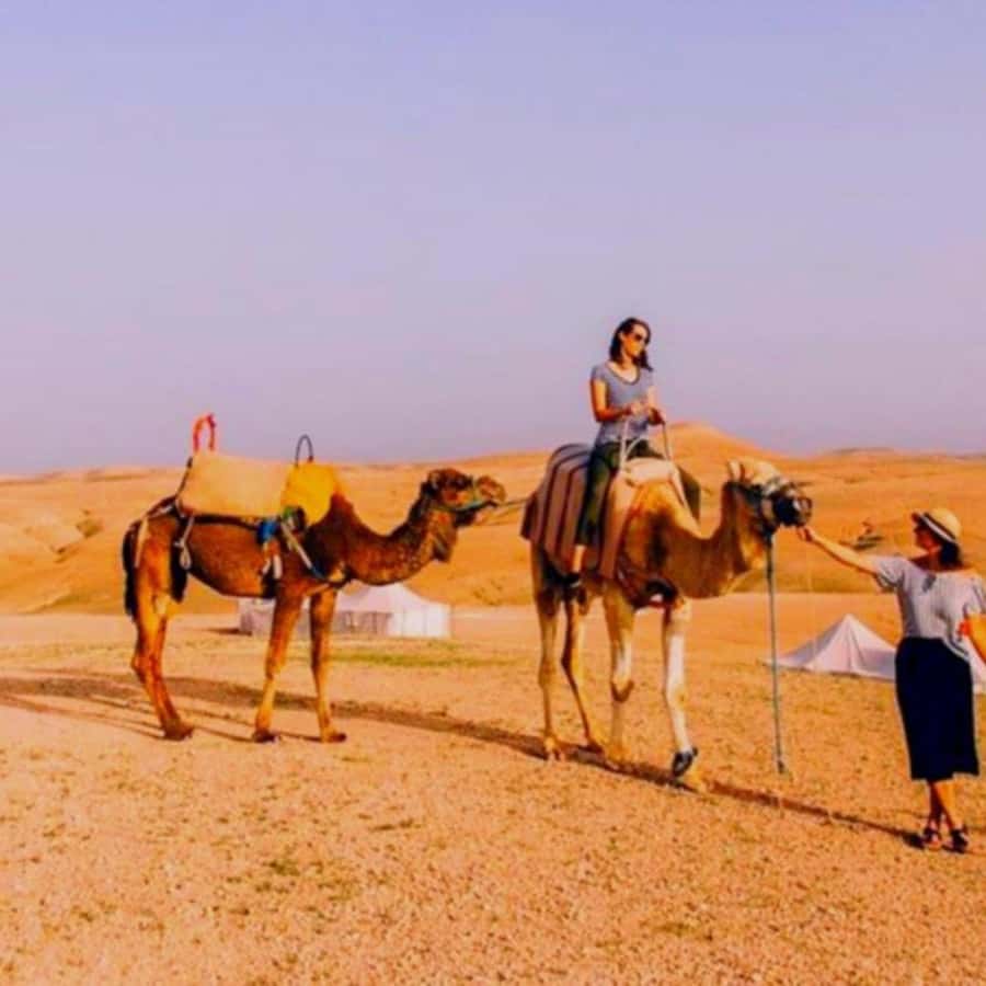Marrakech: Agafay Desert Camp Lunch with Camel Ride and Pool - What lunch is like at the camp