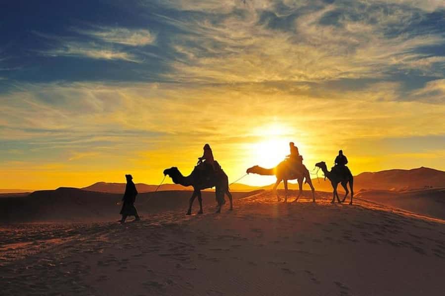 Marrakech: Agafay Desert Dinner and Sunset Camel Ride Trip - The camel ride is the evening’s main attraction