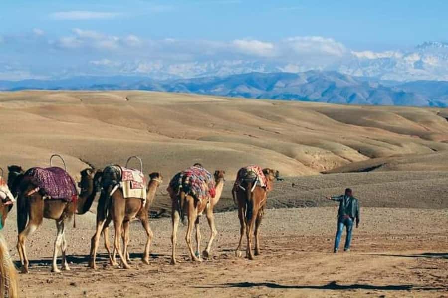 Marrakech: Agafay Desert Dinner and Sunset Camel Ride Trip - Returning to camp gives you time to slow down