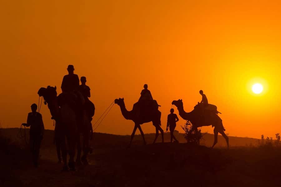 Marrakech: Agafay Desert Dinner, Camel Ride, and Music Show - What the camel ride is really like